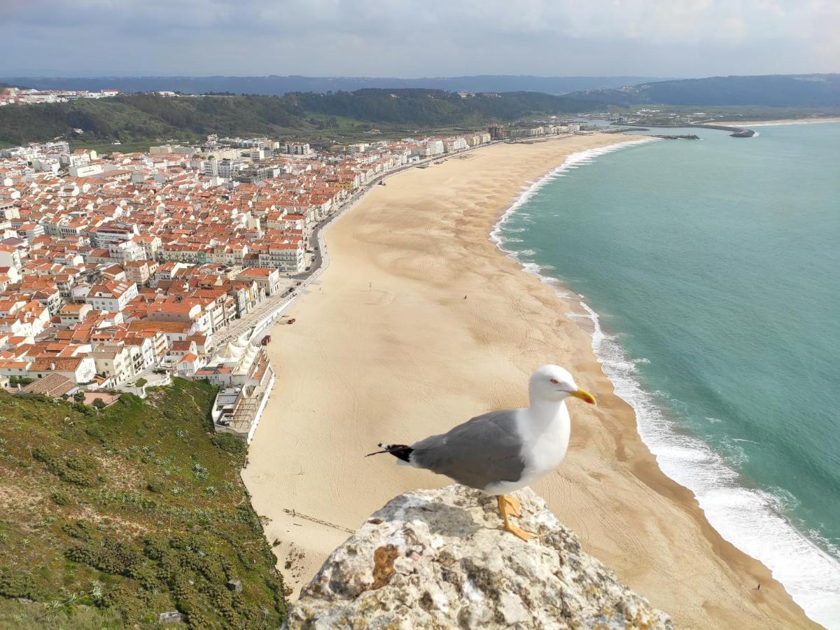 Apartamento Casa Sao Giao Nazaré Exterior foto